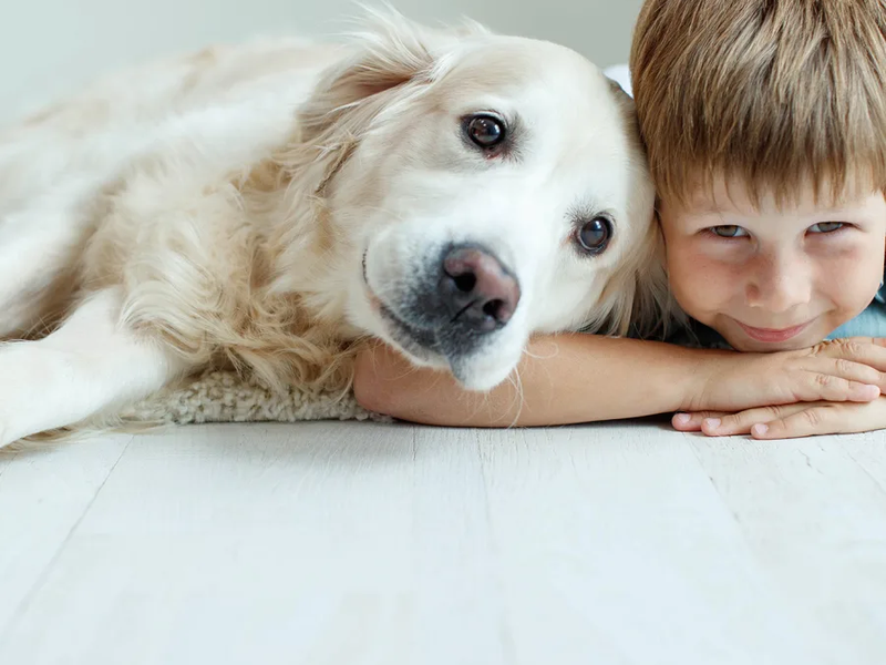 Cleaning products for all types of floors