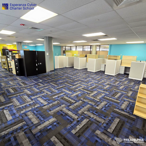 Patterned commercial flooring in a school by Philadelphia Flooring Solutions